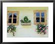 Windows Of One Of Unique Village Architecture Houses In Vlkolinec Village, Velka Fatra Mountains by Richard Nebesky Limited Edition Print