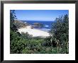 View Over Trees To Trbeach And Bushranger Bay, Mornington Peninsula, Victoria, Australia by Richard Nebesky Limited Edition Print