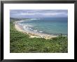 Coast Of The Angahook-Lorne State Park, West Of Anglesea, On Great Ocean Road, Victoria, Australia by Robert Francis Limited Edition Print