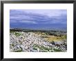 West Coast, Ile De Sein, Brittany, France by Guy Thouvenin Limited Edition Print