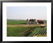 Clos De Vougeot, 16Th Century Monastery And Vineyard, Les Petits Vougeots Vineyard by Per Karlsson Limited Edition Print