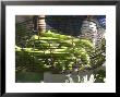 Green Beans In Vegetable Garden, Clos Des Iles, Le Brusc, Var, Cote D'azur, France by Per Karlsson Limited Edition Print