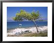 Deserted Island Beach, Lumbarda, Corcula (Korcula) Island, Southern Dalmatia, Croatia, Europe by Peter Higgins Limited Edition Print