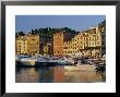 View Across The Harbour At Sunrise, Santa Margherita Ligure, Portofino Peninsula, Liguria, Italy by Ruth Tomlinson Limited Edition Print