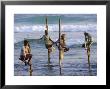 Stilt Fishermen, Weligama, Sri Lanka, Asia by Upperhall Ltd Limited Edition Print