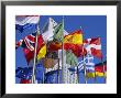 Some Of The Flags Of The European Union, La Defense, Paris, France, Europe by Neale Clarke Limited Edition Print