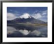 Volcano Of Parinacola, Parque Nacional De Lauca, Chile by Anthony Waltham Limited Edition Pricing Art Print