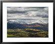 Farmland In Autumn, Queenstown, Central Otago, South Island, New Zealand, Pacific by Jochen Schlenker Limited Edition Print