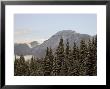 Mountains And Evergreens With Snow, Near Ouray, Colorado, United States Of America, North America by James Hager Limited Edition Print