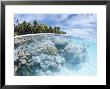Fakarawa, Tuamotu Archipelago, French Polynesia, Pacific Islands, Pacific by Sergio Pitamitz Limited Edition Pricing Art Print