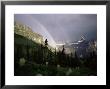 Double Rainbow With Bear Grass In Foreground, Montana, Usa by Aaron Mccoy Limited Edition Print