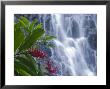 Kepirohi Waterfall, Pohnpei, Federated States Of Micronesia by Michele Falzone Limited Edition Print