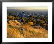 Salt Lake Valley In Autumn, Salt Lake City, Utah by Scott T. Smith Limited Edition Pricing Art Print