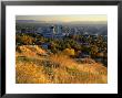 Salt Lake Valley In Autumn, Salt Lake City, Utah by Scott T. Smith Limited Edition Print