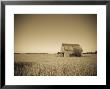 Usa, Illinois, Old Route 66, Odell, Barn by Alan Copson Limited Edition Print