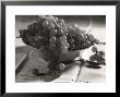 Grapes In The Fruit Bowl by Alessandro Bencini Limited Edition Pricing Art Print