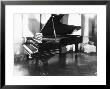 Steinway And Sons Piano In A Room by Carlo Wulz Limited Edition Pricing Art Print