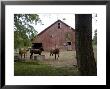 Barn And Horses In Eastern Nebraska by Joel Sartore Limited Edition Print