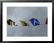 Close View Of Nautical Flags Waving Against A Cloudy Sky, Mystic, Connecticut by Todd Gipstein Limited Edition Print