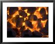 Coals On A Campfire Grill At The 4-H Photo Camp At Halsey, Ne by Joel Sartore Limited Edition Print