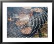 Hamburger Cookout In Grand Island, Nebraska by Joel Sartore Limited Edition Print