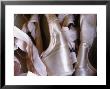 Heap Of Ballet Shoes At Ballerina Camp, Aspen, Colorado by Kate Thompson Limited Edition Print