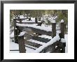 Fence Post At Donner Lake Area Covered In Fresh Snow, California by Rich Reid Limited Edition Print