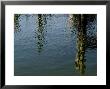 Pilings Of A Pier Reflected In Block Island Sound by Todd Gipstein Limited Edition Print