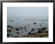 Rocky Coastline Shrouded In Fog, Block Island, Rhode Island by Todd Gipstein Limited Edition Print