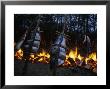 Salmon Bake Around A Bonfire At Depoe Bay, Oregon by Phil Schermeister Limited Edition Print