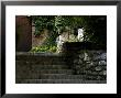 Stone Stairway Up To A Wooden Door, Asolo, Italy by Todd Gipstein Limited Edition Print