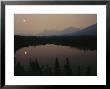 Sun And Evergreen Trees Casting Reflections In Water At Twilight by Michael S. Quinton Limited Edition Print