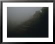 Palenque's Temple Of The Cross Is Shrouded In Fog by Stephen Alvarez Limited Edition Print