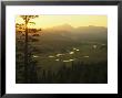 View At Dawn Of The Tuolumne River Winding Through Tuolumne Meadows by Phil Schermeister Limited Edition Print
