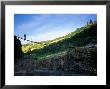 Backpacker Crosses The Bridge Over The River To His Camp, Hood River, Oregon, United States by Kate Thompson Limited Edition Pricing Art Print