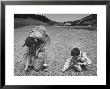 Farm Children Gleaning Field After Wheat Harvest by William Vandivert Limited Edition Print