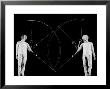 Movements Of Fencers Arthur Tauber And Seymour Gross Captured With Lights On Tip Of Sabers by Gjon Mili Limited Edition Pricing Art Print