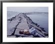 Senator Edward M. Kennedy Basking In Sun On Breakwater In Hyannis Port by John Loengard Limited Edition Print