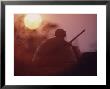 Soldier Of The 11Th Armored Regiment On A Tank In The Sunset. Vietnam by Co Rentmeester Limited Edition Pricing Art Print