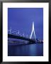 Erasmus Bridge, Rotterdam, Holland by Jon Arnold Limited Edition Pricing Art Print