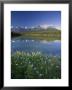 Bow Mountain Range And Herbert Lake, Banff National Park, Alberta, Canada by Michele Falzone Limited Edition Print