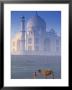 Taj Mahal, Agra, India by Peter Adams Limited Edition Print