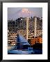 Downtown And Mt. Rainier, Tacoma, Washington by Charles Crust Limited Edition Print