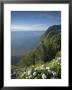 Coastline At Miradouro De Sossego Viewpoint, Sao Miguel Island, Azores, Portugal by Alan Copson Limited Edition Print