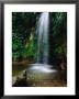 Toraille Waterfall, Soufriere by Holger Leue Limited Edition Pricing Art Print