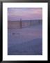Dune Erosion Fence On The Beach In The Outer Banks by Stacy Gold Limited Edition Print