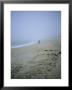 Mother And Child Walk Hand In Hand On A Misty Beach by Vlad Kharitonov Limited Edition Print