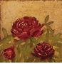 Field Peonies by Edward Raymes Limited Edition Print