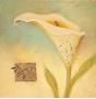 Embossed Lily by Edward Raymes Limited Edition Pricing Art Print