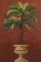 Potted Palm Red Iii by Welby Limited Edition Print